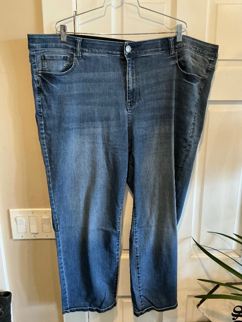 Venezia jeans in plus size 24 short